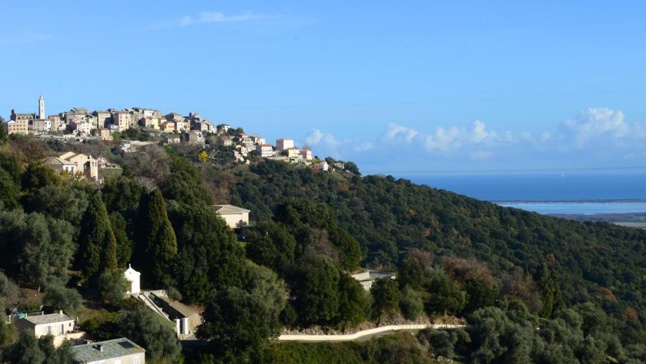 Au Coeur Du Village De Lucciana Lucciana  Esterno foto
